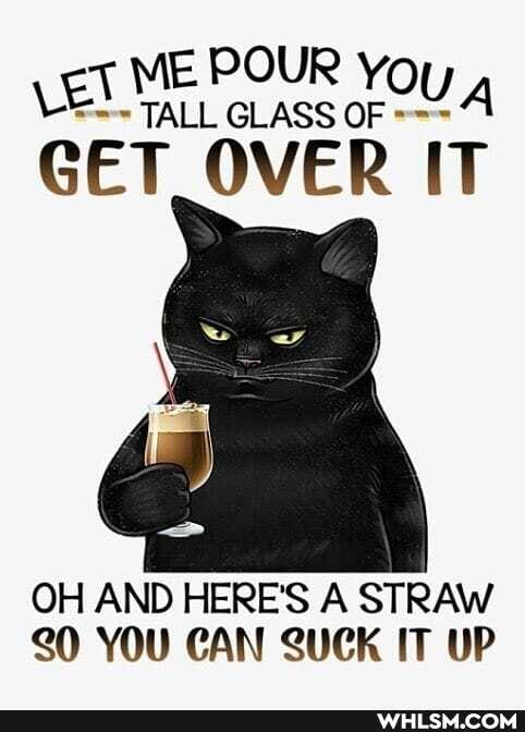 POUR y,
GLASS Al
GET _OVER IT
OH AND HERE'S A STRAW YOU CAN SUCK IT UP