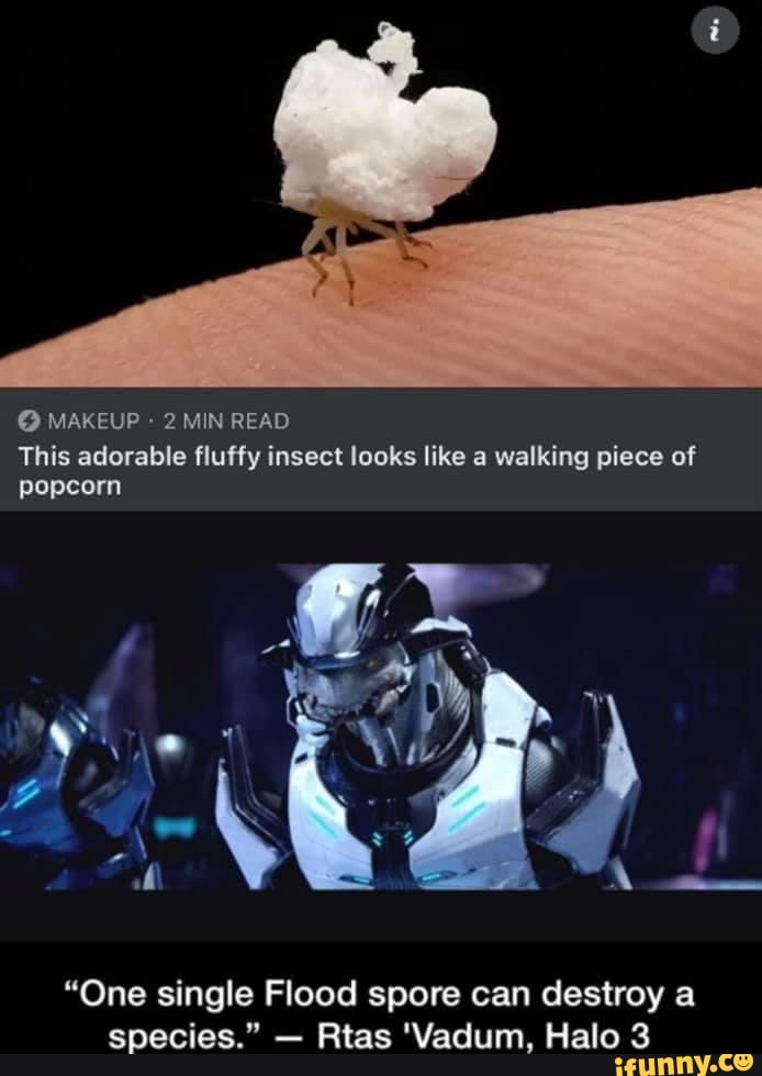MAKEUP 2 MIN READ This adorable fluffy insect looks like a walking
