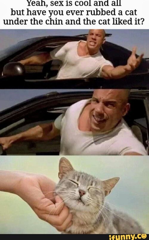 yeah, sex 1s Cool and ali
but have you ever rubbed a cat
under the chin and the cat liked it?