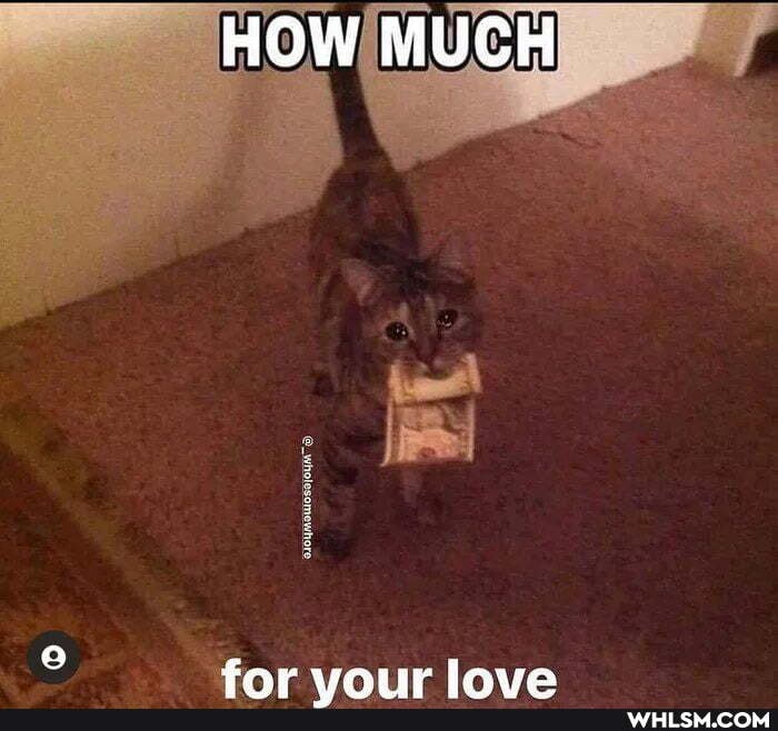 HOW MUCH
iaration laws