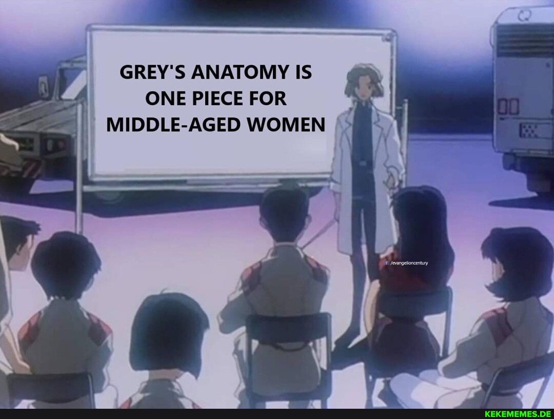 GREY'S ANATOMY IS ONE PIECE FOR MIDDLE-AGED WOMEN