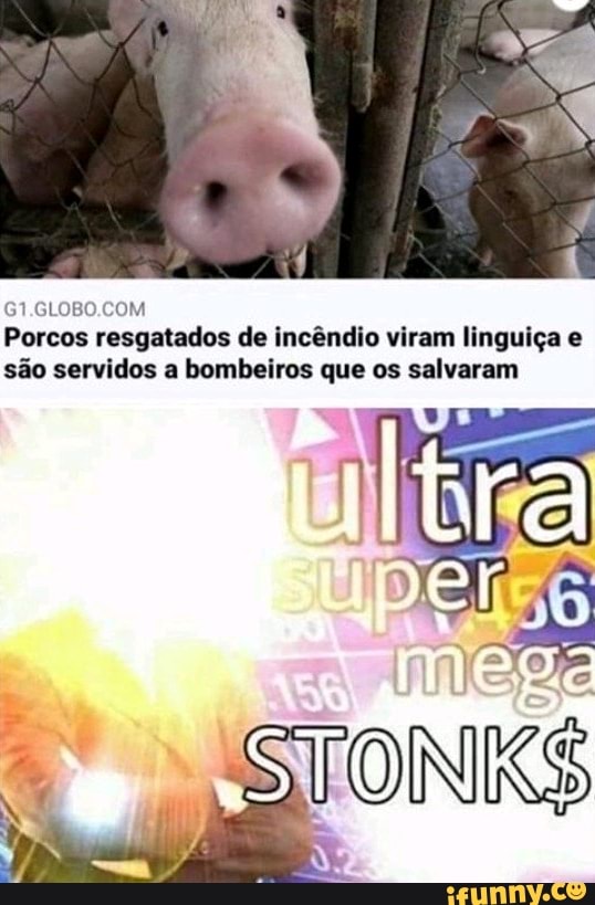 Porcos resgatados de incêndio viram linguiça e são servidos a bombeiros que os salvaram