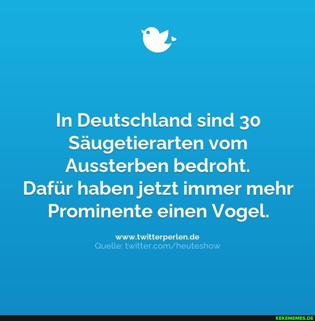 In Deutschland sind 30
Saugetierarten vom
Aussterben bedroht,
Dafür halben jetzt immer mehr
Prominente einen Vogel.
www.twitterperlen.de
Quelle twitter
