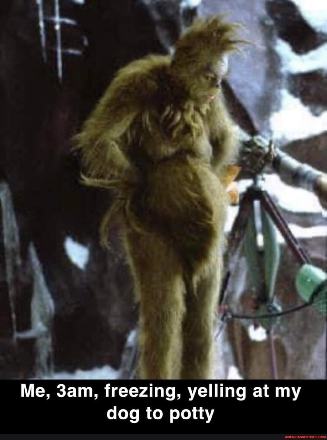 Me, freezing, yelling at my
dog to potty