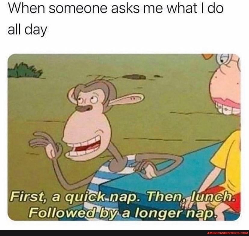 When someone asks me what I do all day
First, a quitk.nap. Then net longer