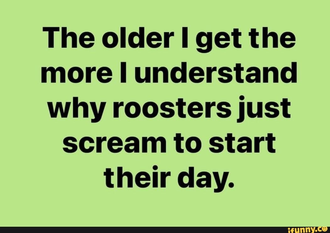 Roosters memes. Best Collection of funny Roosters pictures on iFunny