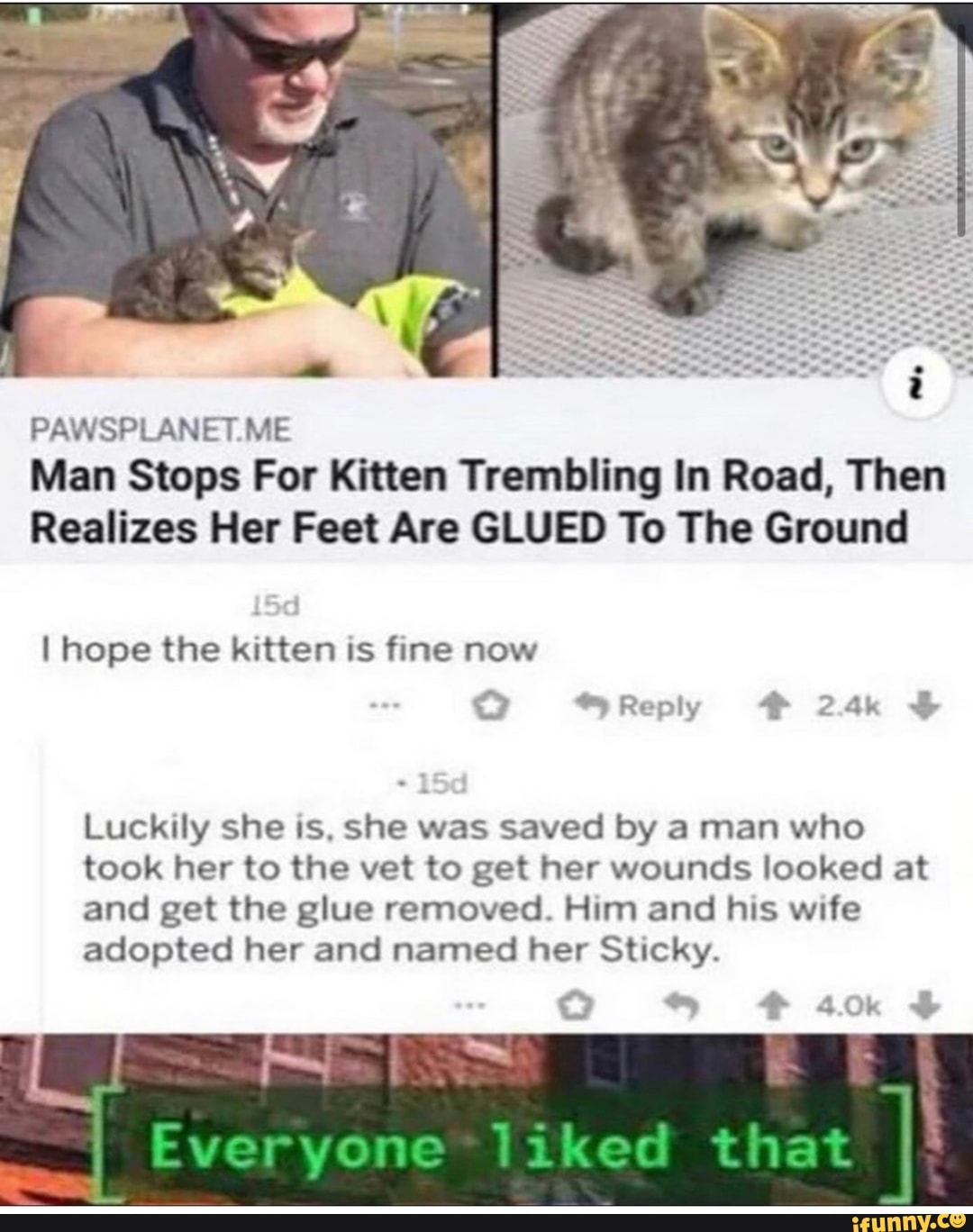 PAWSPLANET.ME
Man Stops For Kitten Trembling In Road, Then
Realizes Her Feet Are GLUED To The Ground
I hope the kitten is fine now
Luckily she is, she was saved by a man who
took her to the vet to get her wounds looked at
and get the glue removed. Him and his wife
adopted her and named her Sticky.