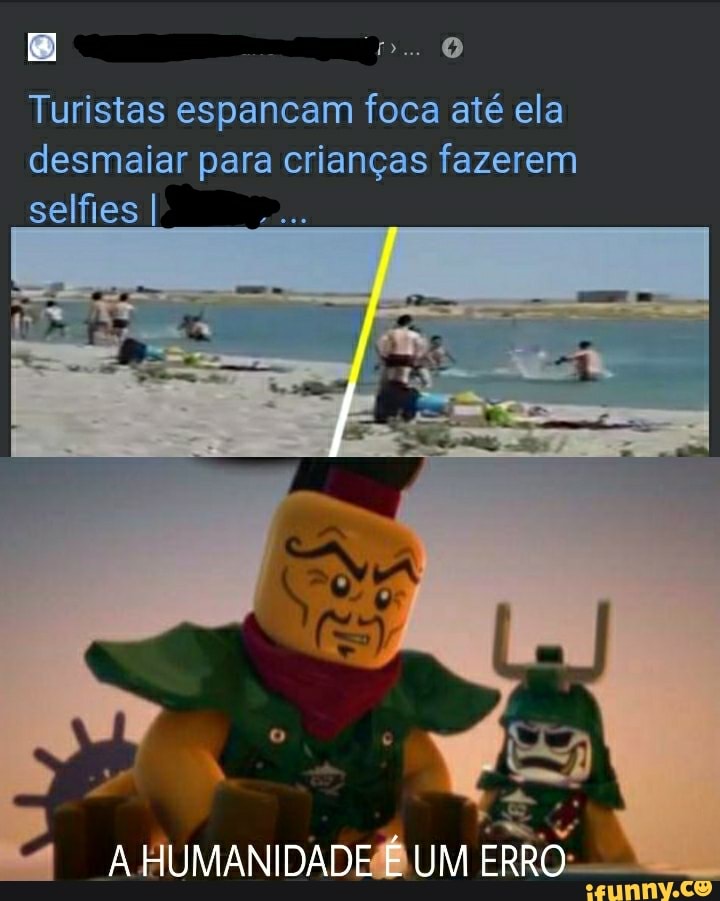 Turistas espancam foca até ela desmaiar para crianças fazerem selfies I
HUMANIDADE UM ERRO-