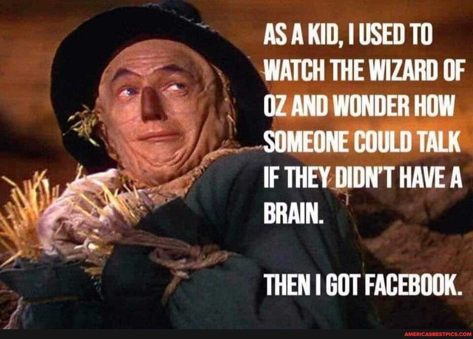 AS AKID, USED TO
WATCH THE WIZARD OF OZ AND WONDER HOW
-SOMEONE COULD TALK IF THEY DIDN'T HAVE BRAIN.
THEN I GOT FACEBOOK.