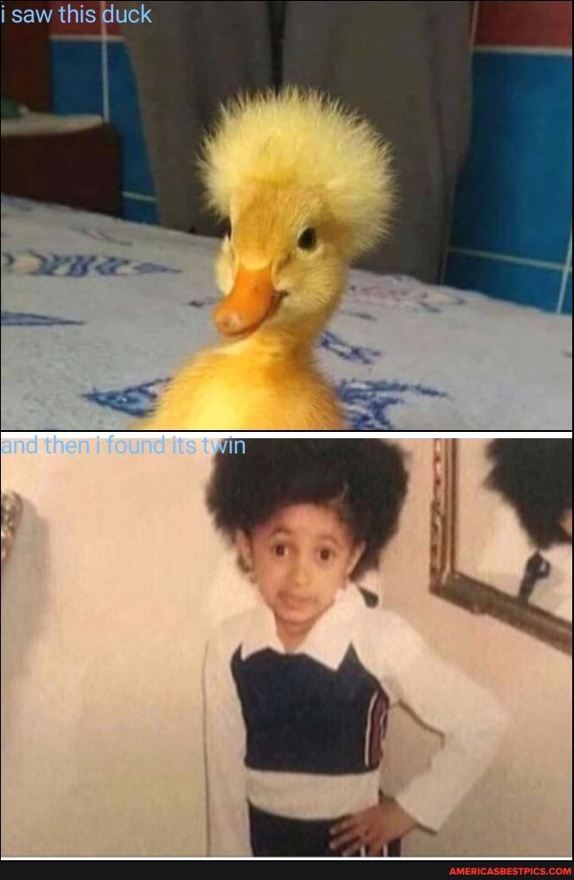 saw this duck