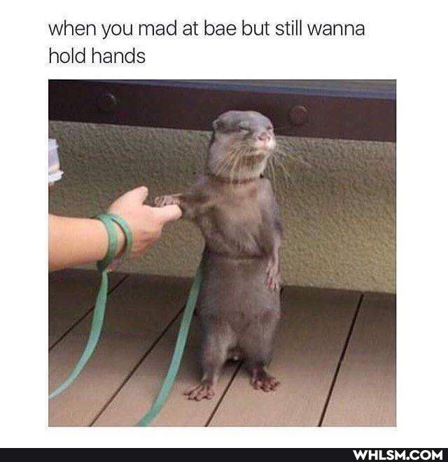 when you mad at bae but still wanna hold hands