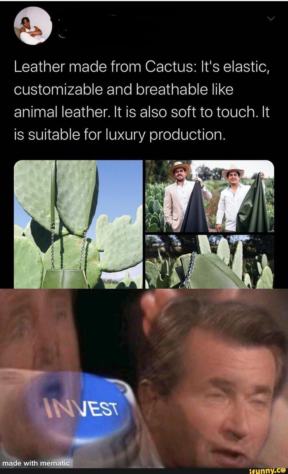 Leather made from Cactus: It's elastic,
customizable and breathable like
animal leather. It is also soft to touch. It
is suitable for luxury production.