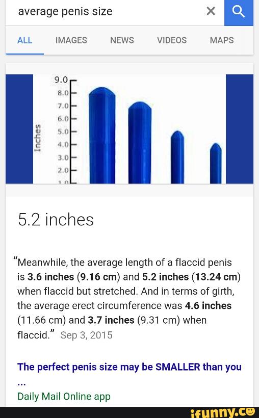 What is the average flaccid penis size.