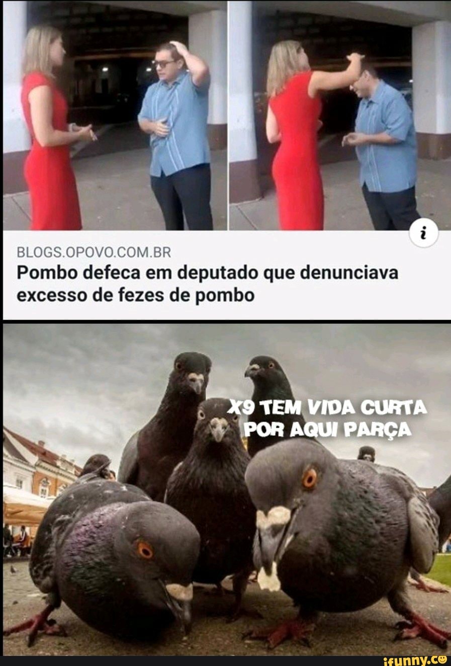 BLOES.OPOVO.COM.BR Pombo defeca em deputado que denunciava excesso de fezes de pombo
PARÇA EN