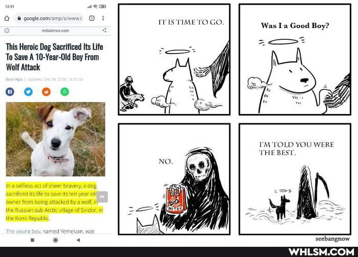 IT IS TIME'TO GO.
Was I a Good Boy?
mi
This Heroic Dog Sacrificed Its Life
To Save A 10-Year-Old Boy From
Wolf Attack
I'M 'TOLD YOU WERE THE BEST.
the Komni Republic