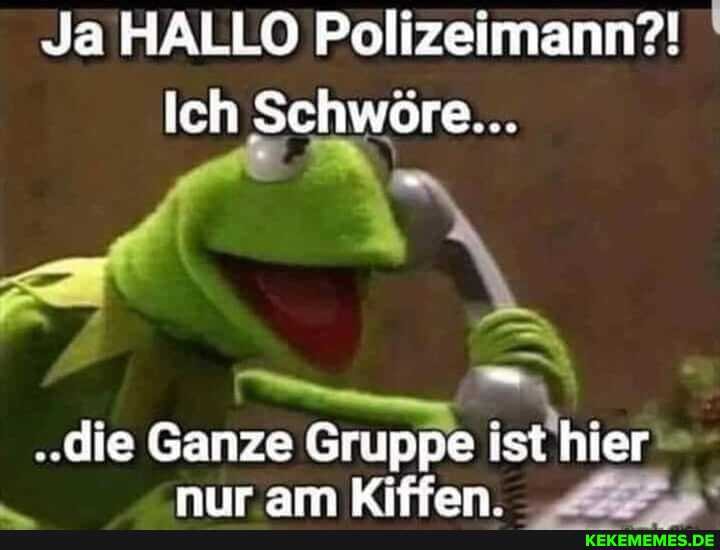 Ja HALLO Polizeimann?!
Ich Schwöre...
..die Ganze Gruppe ist hier rr am Kiffan