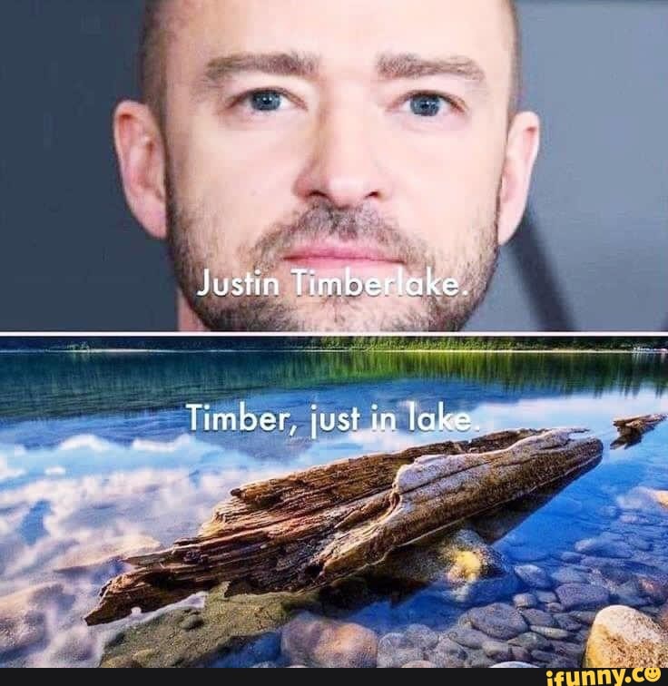 Justin Timberlake. Timber, just in lake. iFunny