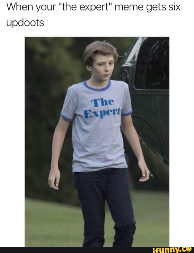 the expert meme