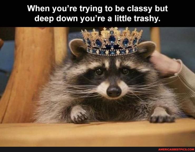When you're trying to be classy but deep down you're a little trashy.