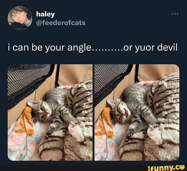 Haley @feederofcats i can be your angle.. ..or yuor devil - iFunny