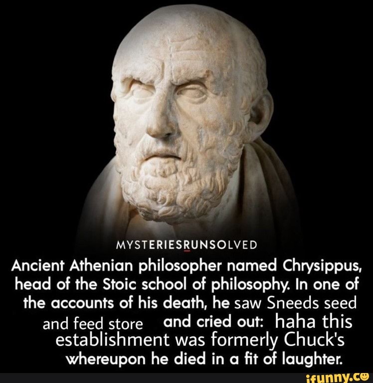 MYSTERIESRUNSOLVED Ancient Athenian philosopher named Chrysippus, head ...