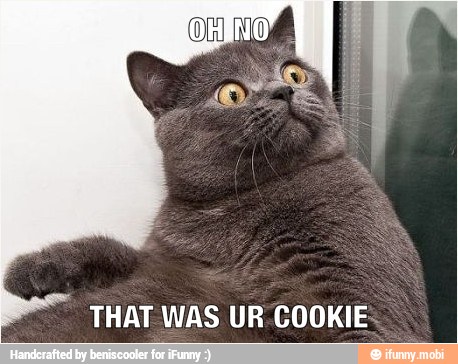 THAT WAS UR-COOKIE: