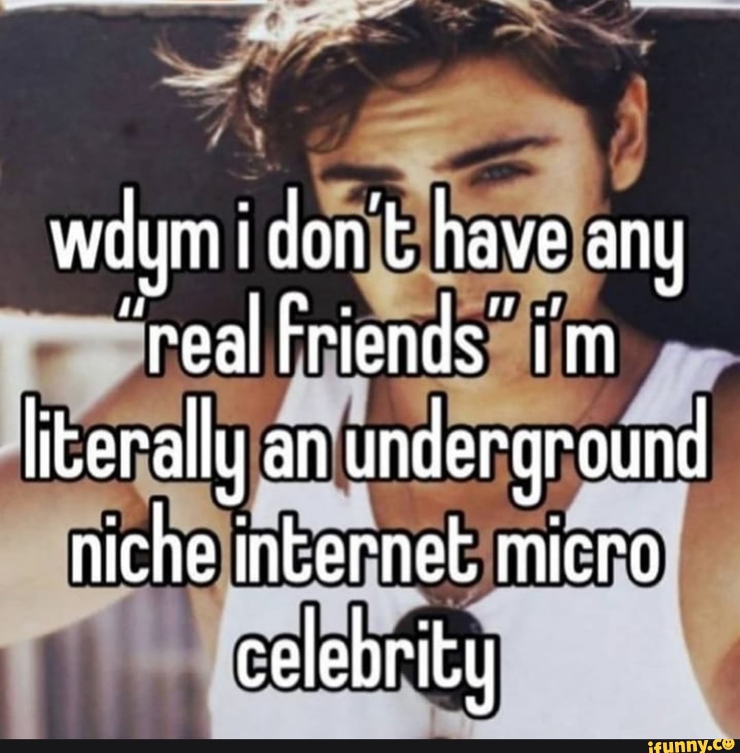 wadym i don't have any
"real Friends' i'm literally an underground niche internet micro celebrity