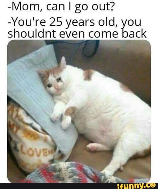 -You're 25 years old, you
shouldnt even come back