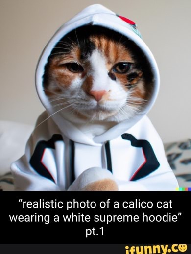 Cat sales supreme hoodie