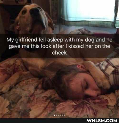 My girlfriend fell asleep with my dog and he gave me this look after I kissed her on the cheek