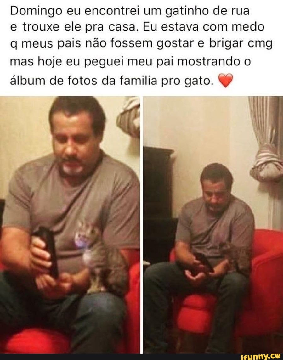 Domingo eu encontrei um gatinho de rua
um gatinho de rua
e trouxe ele pra casa. Eu estava com medo meus pais não fossem gostar e brigar emg mas hoje eu peguei meu pai mostrando o
álbum de fotos da fami pro gato.
lia pro gato.