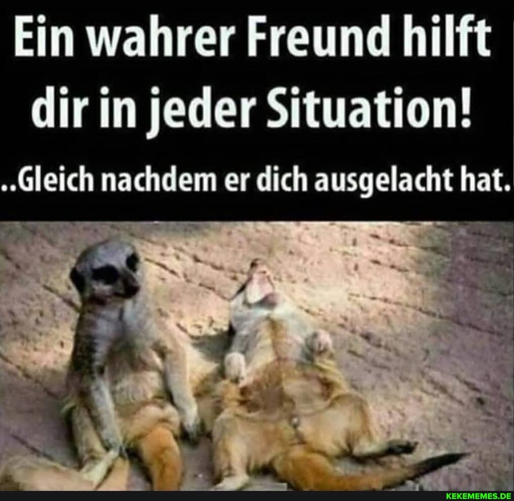 Ein wahrer Freund hilft
dir in jeder Situation!
"Gleich nachdem er dich ausgelacht hat.