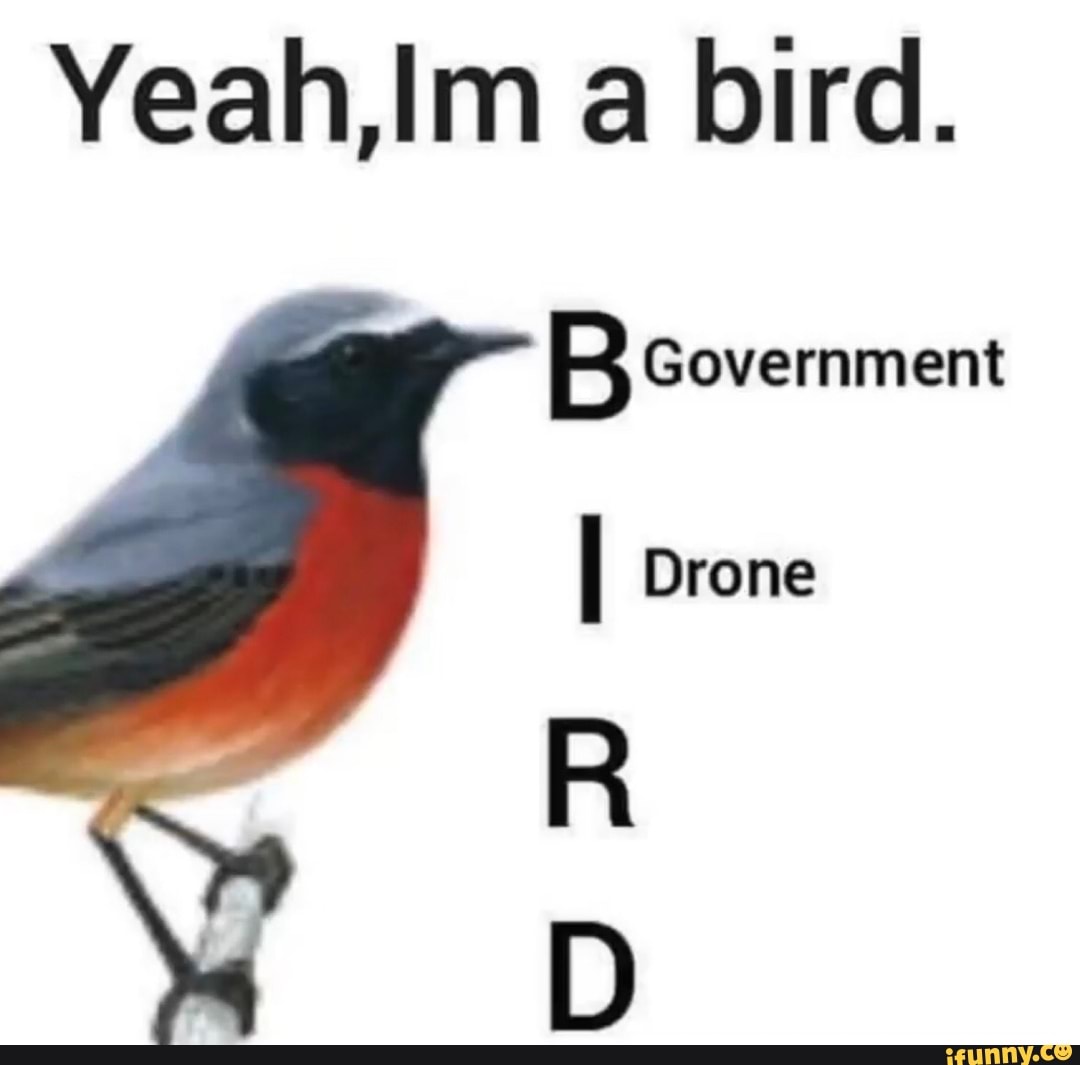 Yeah,Im a bird. B Government Drone R D iFunny