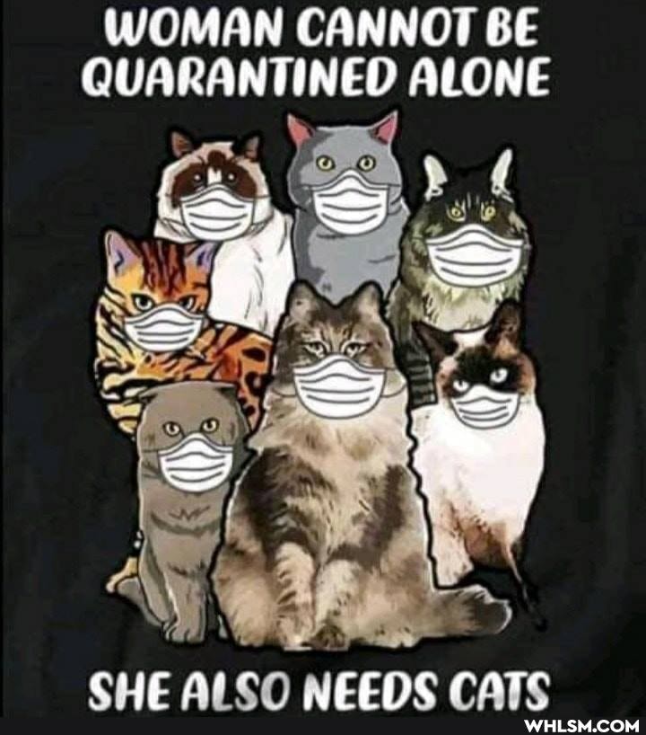 WOMAN CANNOT BE QUARANTINED ALONE
CLIC AN CATC