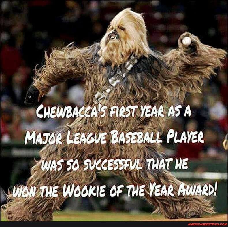 CHEWBACCA'S FLRST YEAR AS LEAGVE BASEBALL PLAYER WAS SUCCESSEUL THAT HE WON THE INGOKIE OF THE YEAR Awaed!