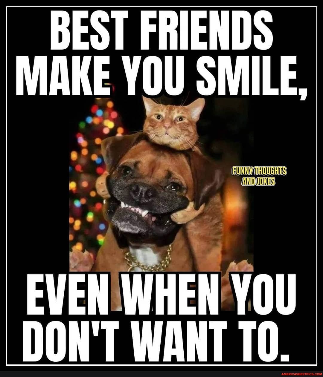 BEST FRIENDS MAKE YOU SMILE,
FUNNY THOUGHTS
EVEN WHEN YOU DON'T WANT TO.