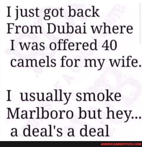 I just got back
From Dubai where
I was offered 40 camels for my wife.
I usually smoke
Marlboro but hey...
9 deal'c a deal