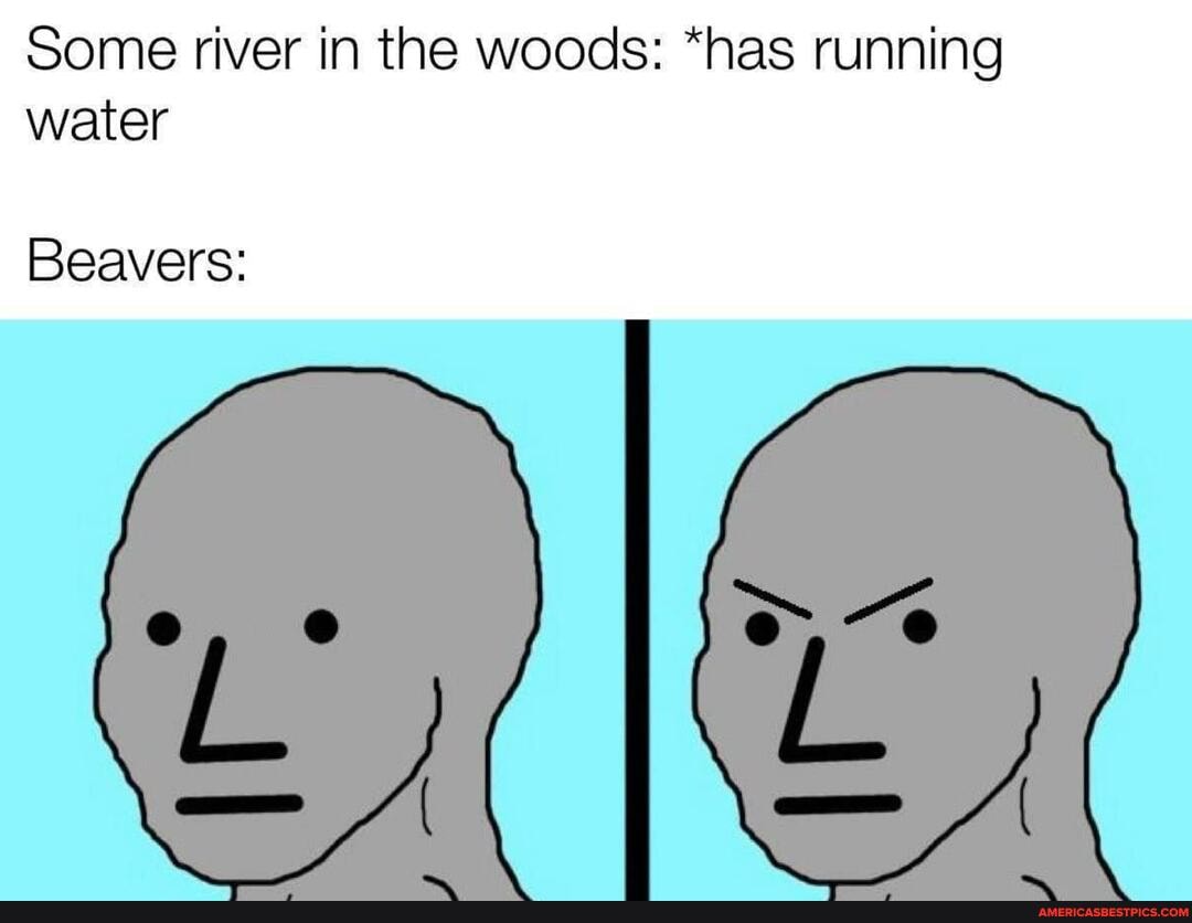 Some river in the woods: *has running
water
Beavers:
