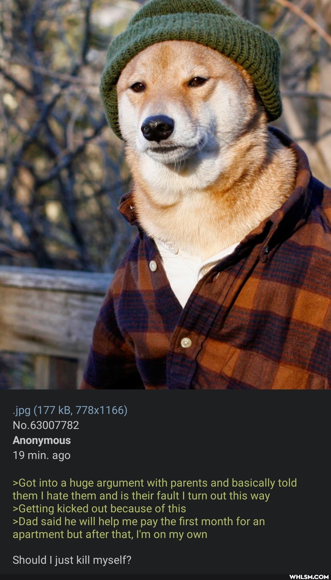 jpg (177 kB, 778x1166)
No.63007782
Anonymous
19 min. ago
>Got into a huge argument with parents and basically told them I hate them and is their fault I turn out this way
>Getting kicked out because of this
>Dad said he will help me pay the first month for an apartment but after that, I'm on my own
Should I just kill myself?
