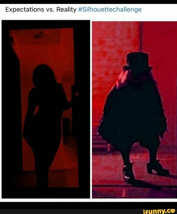 Expectations vs. Reality #Silho
