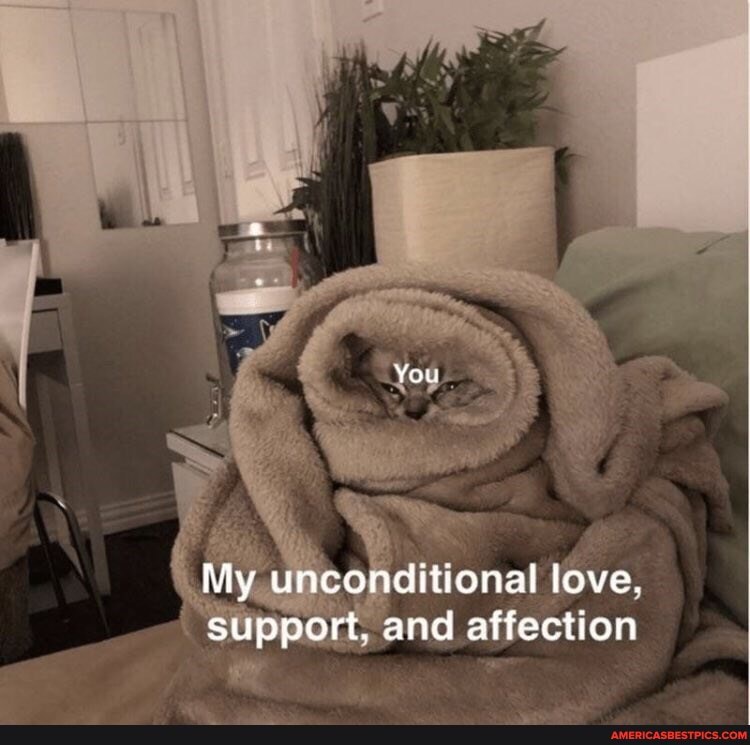 we
You
My unconditional love.
support. and affection