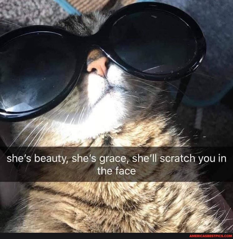 she's beauty, she's grace, she'll scratch you in the face