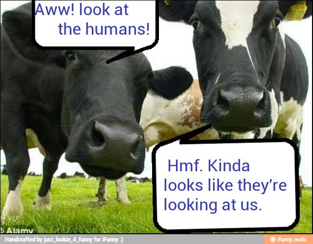 a Aww! look at
the humans!
Hmf. Kinda
looks like they're
I
4
looking at us.