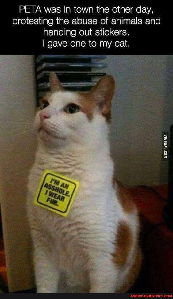 PETA was in town the other cay, protesting the abuse of animals and handing out stickers.
gave one to my cat.