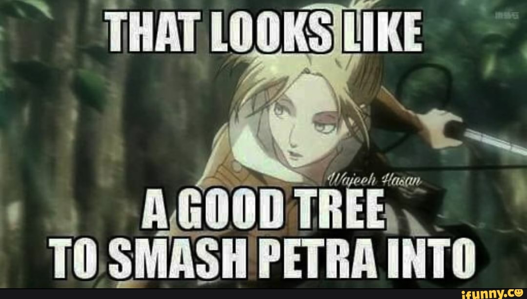 THAT KS
-AGOOD TREE,
TO. SMASH PETRA INTO