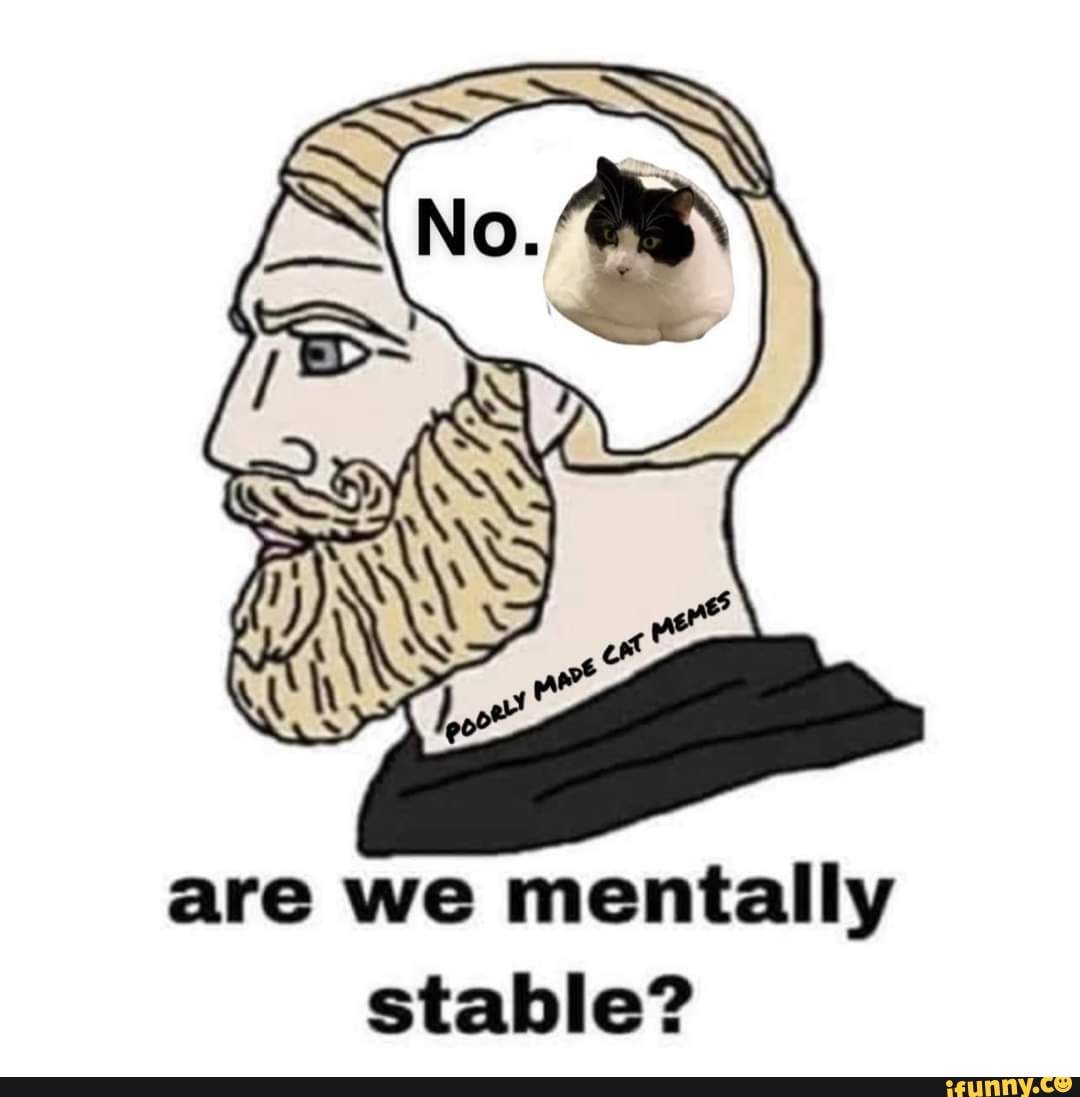 are-we-mentally-stable-ifunny