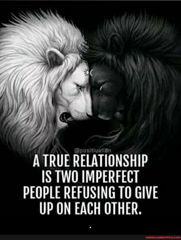 pe
A TRUE RELATIONSHIP IS TWO IMPERFECT PEOPLE REFUSING TO GIVE UP ON EACH OTHER. - .