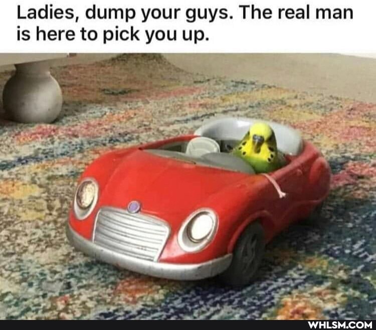 Ladies, dump your guys. The real man is here to pick you up.
SS
