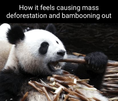 Deforestation memes. Best Collection of funny Deforestation