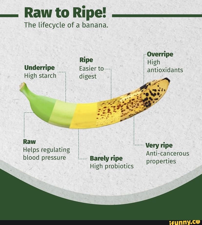 - Raw to Ripe! The lifecycle of a banana. Overripe Ripe High Underripe ...